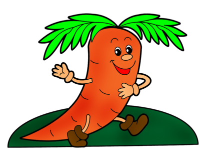 Как посадить правильно морковь