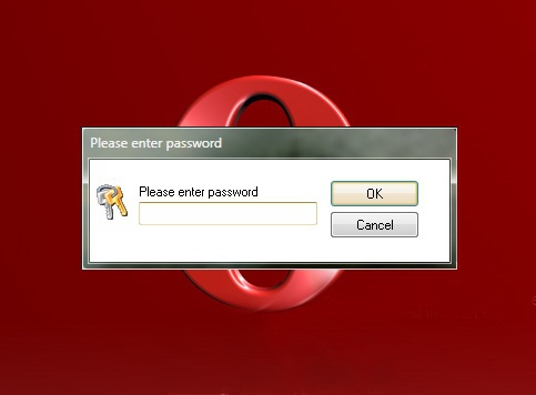 How to put a password on Opera