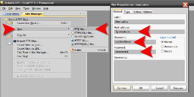 Data entry of hosting in FTP client CuteFTP