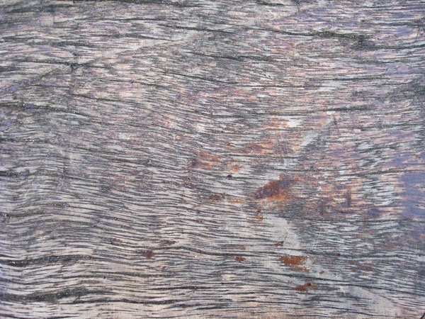 Как сделать текстуру дерева в substance painter