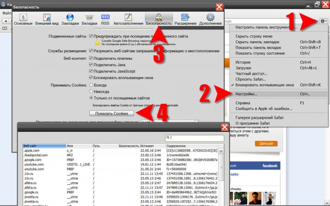 Safari: путь к хранилищу и просмотр кук