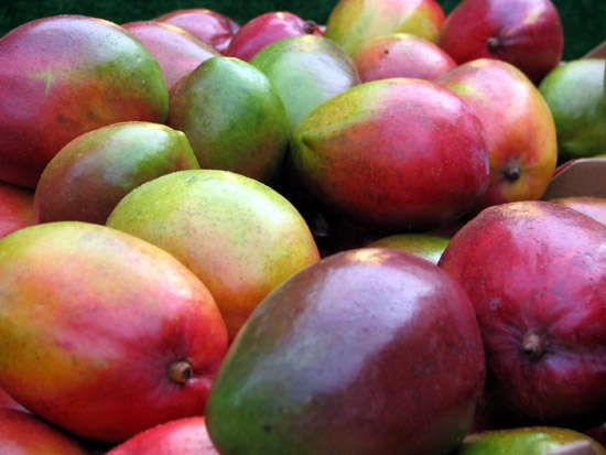 How to ripen mangoes
