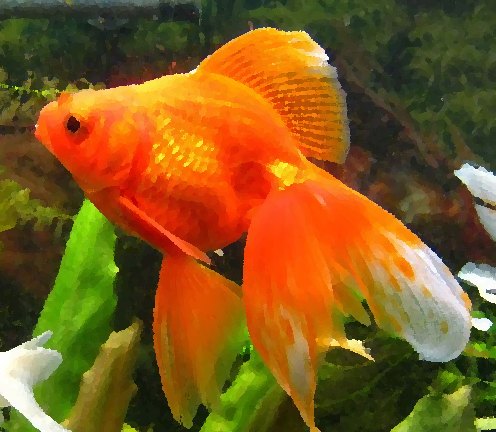 Золотая рыбка исполнит ваши желания