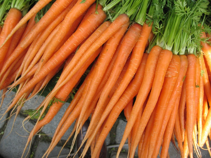 Как посеять морковь