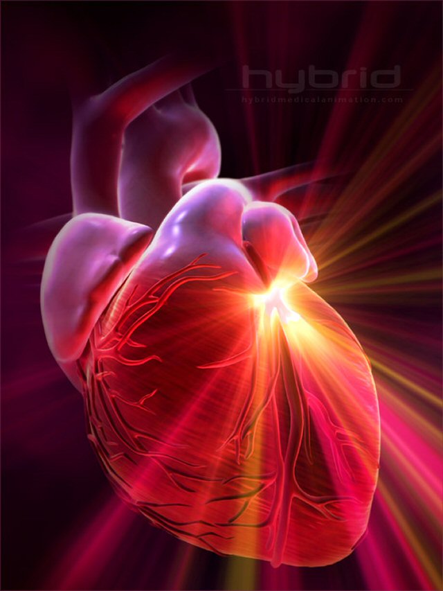 Как укреплять сердечную мышцу