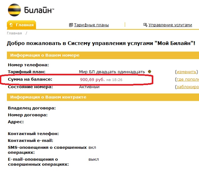 Как Проверить Баланс На Ноутбуке Билайн