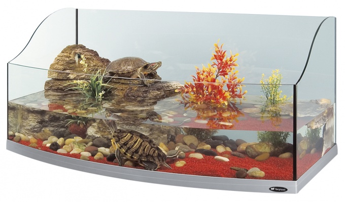 How to make a terrarium for turtles