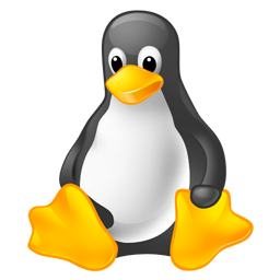 Как установить Linux на флешку