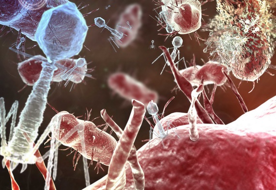 Как давать бактериофаг бактериофаги в таблетках Здоровье и медицина Другое