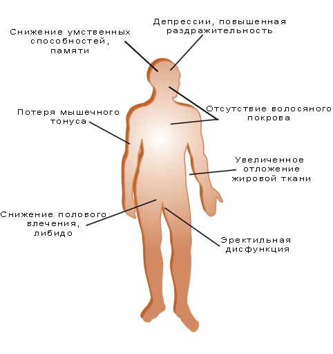 Признаки пониженного уровня тестостерона у мужчин