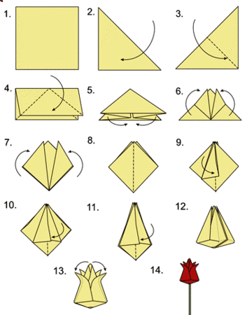 Схема сборки тюльпана
