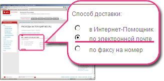 Способ доставки - по электронной почте