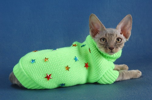 How to knit cat clothes