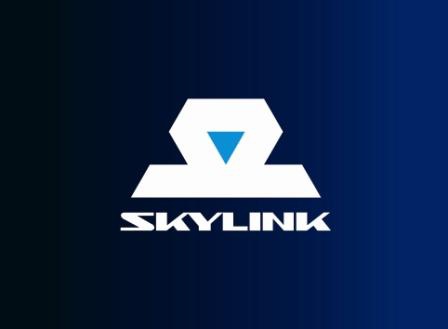How to set Skylink modem