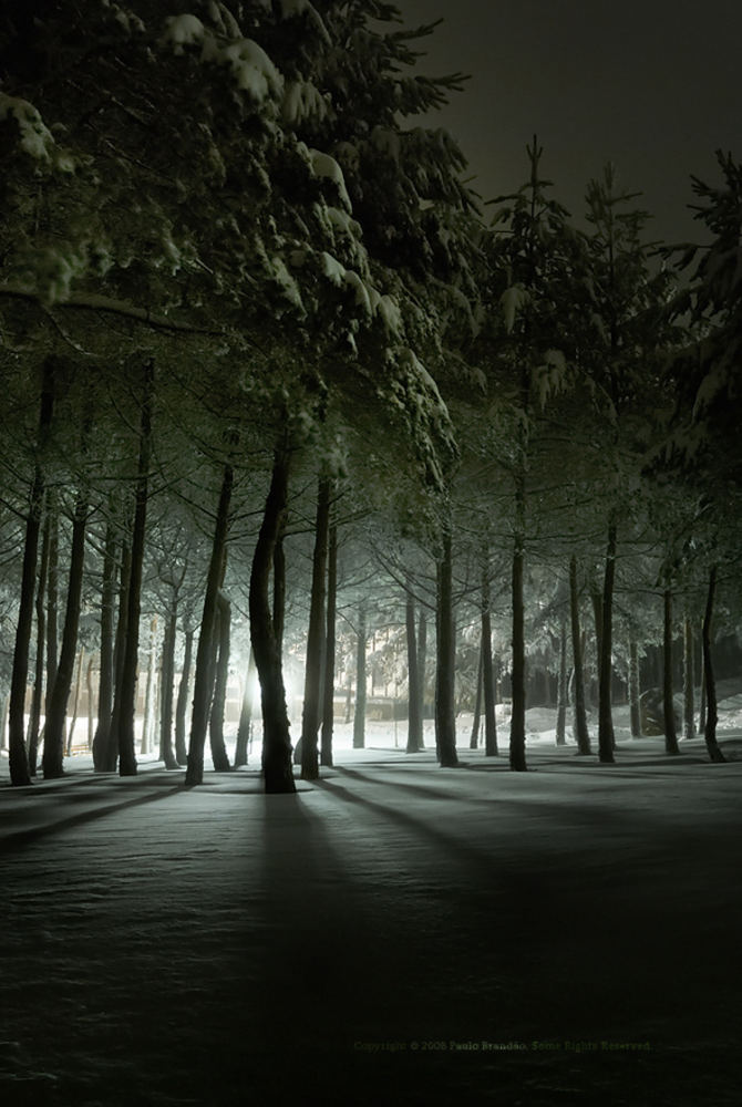 Night landscape on the long vidrike.