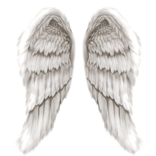 Как рисовать крылья ангелов