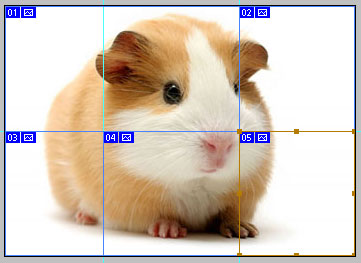 How to split <b>photo</b> some <strong>parts</strong>