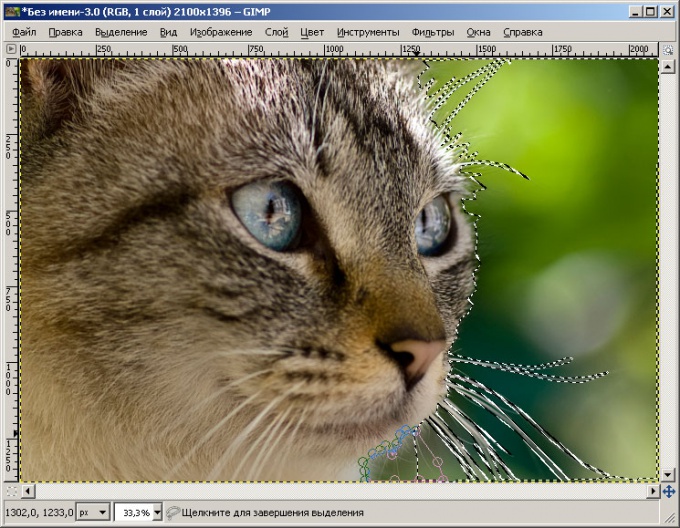 How to remove the background on <b>photos</b> without <em>photoshop</em>