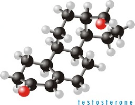 The testosterone molecule