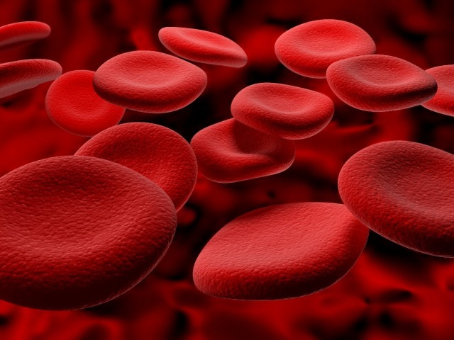 cells of red blood cells.