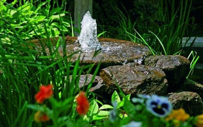 The fountain in the garden