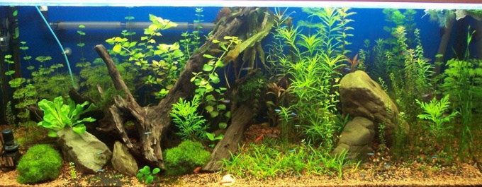 How to defend water for aquarium