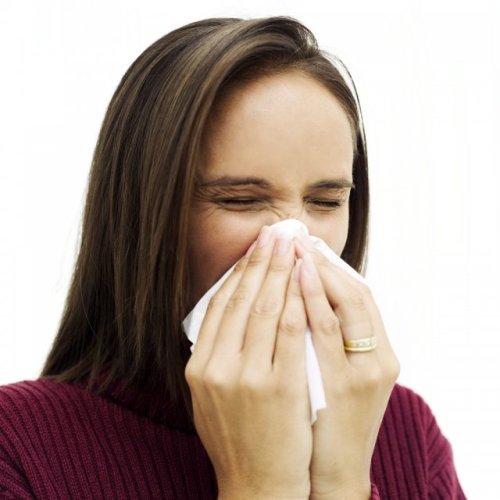 How to stop sneezing