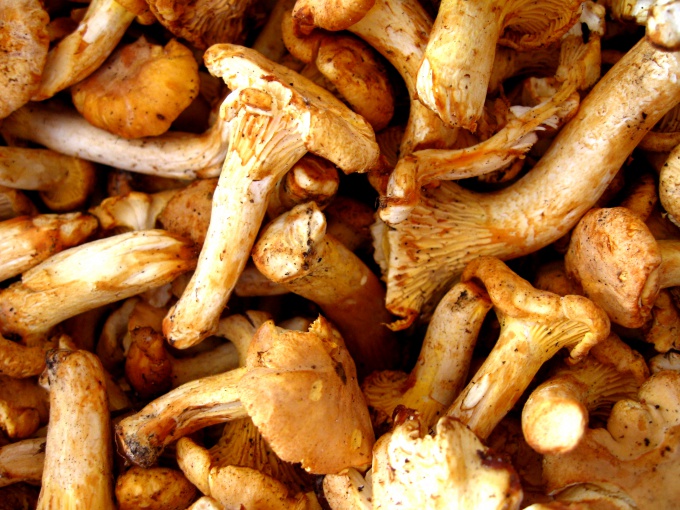 How to fry frozen mushrooms