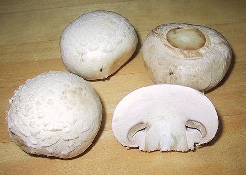 Как жарить грибы шампиньоны