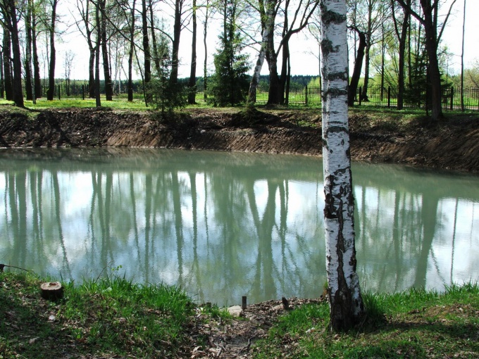 How to build a pond for breeding fish