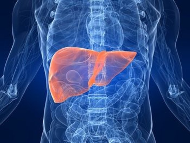 How to treat steatosis of the liver