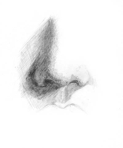 Как научиться рисовать нос