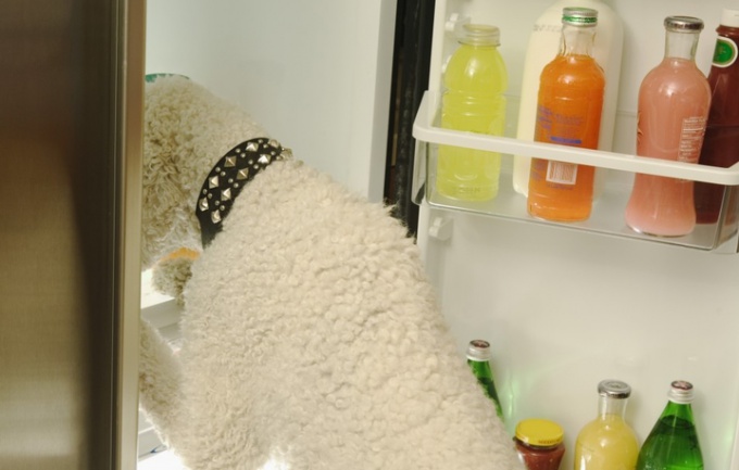 Как защитить холодильник