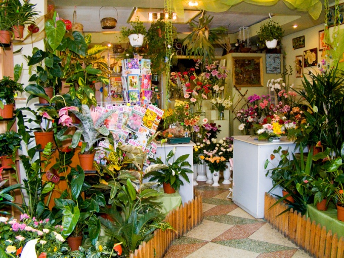 Как назвать магазин цветов