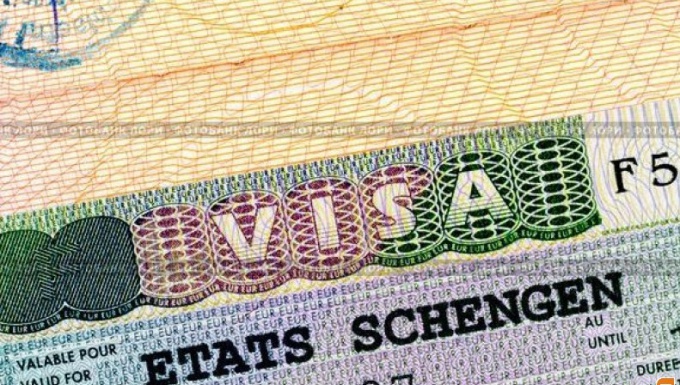 Как оформить шенгенскую визу на год