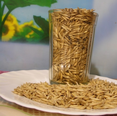 How to prepare a decoction of oatmeal