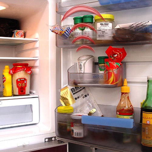 How to get rid of mold in the refrigerator