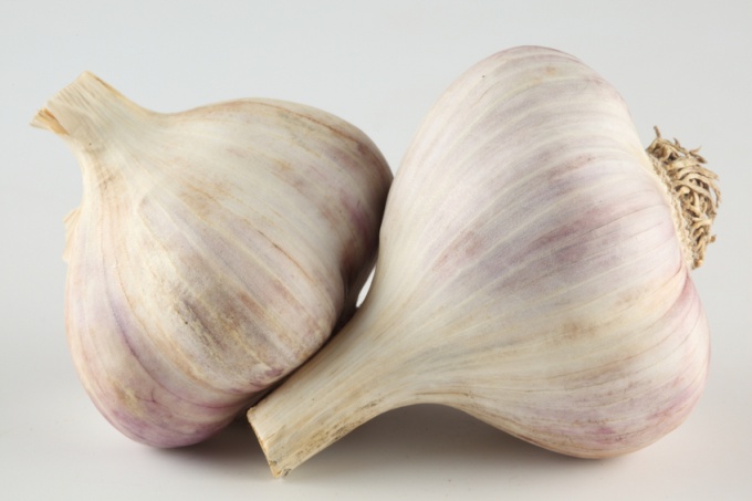 How to preserve garlic until spring