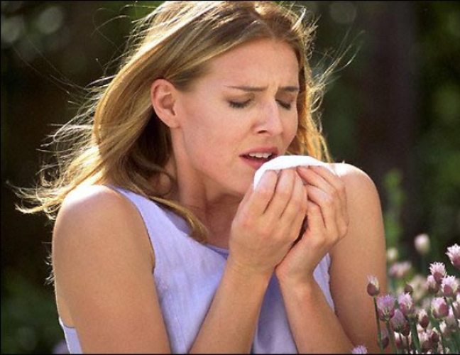 Как определить аллерген
