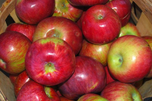 Как выбрать яблоки