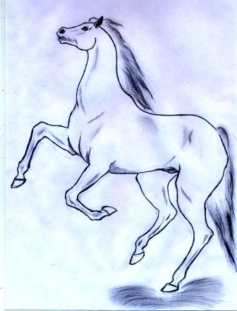 Как нарисовать красивую лошадь
