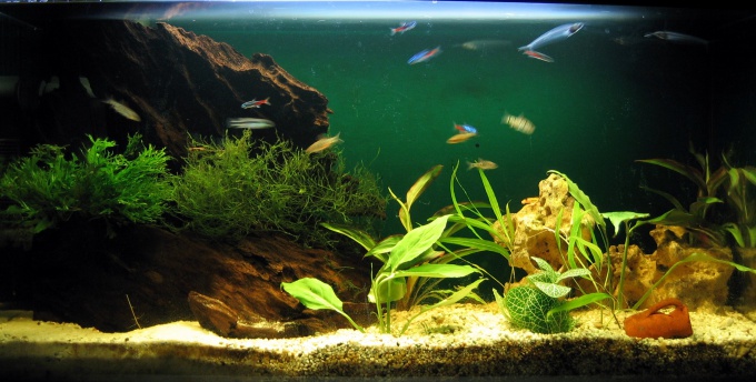 How to lower ph in an aquarium