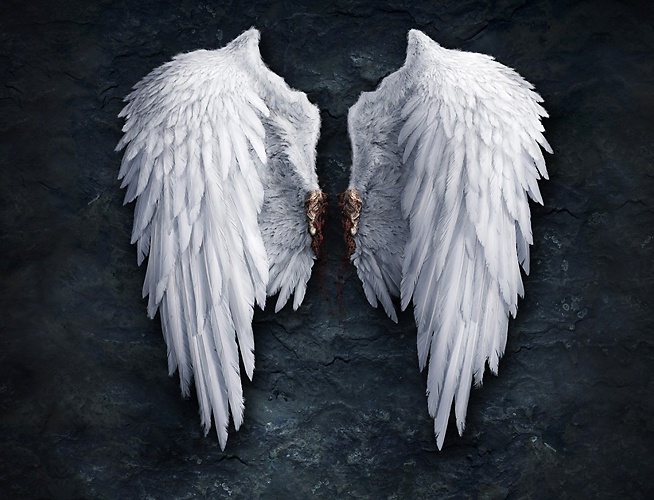 Как сделать ангельские крылья
