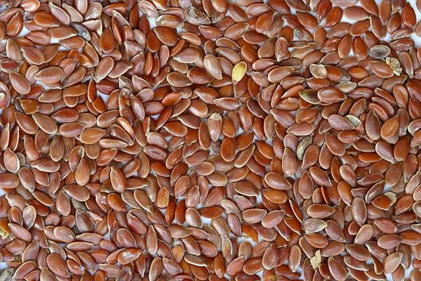 How to use flax seed