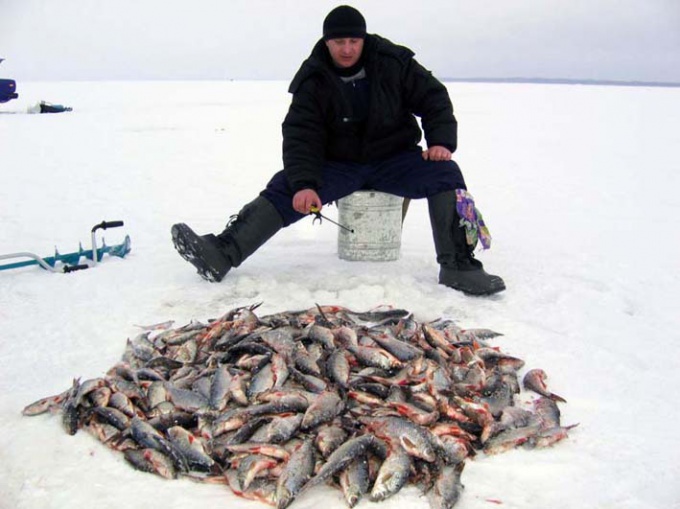 How to make winter fishing box