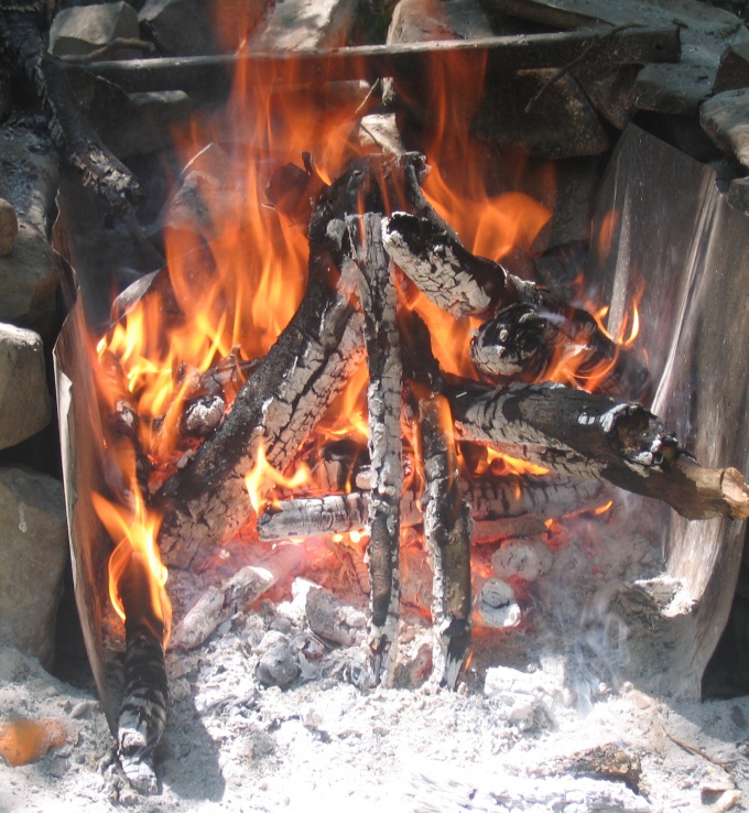 Как добыть огонь в лесу: уроки выживания
