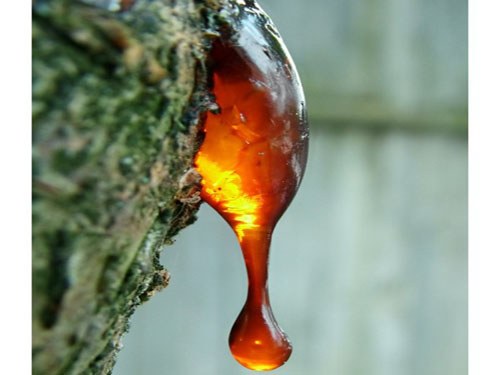How to collect SAP