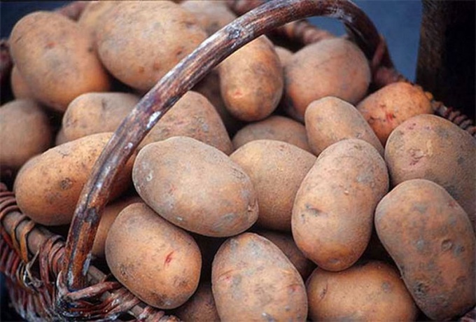 How to pick the early varieties of potatoes