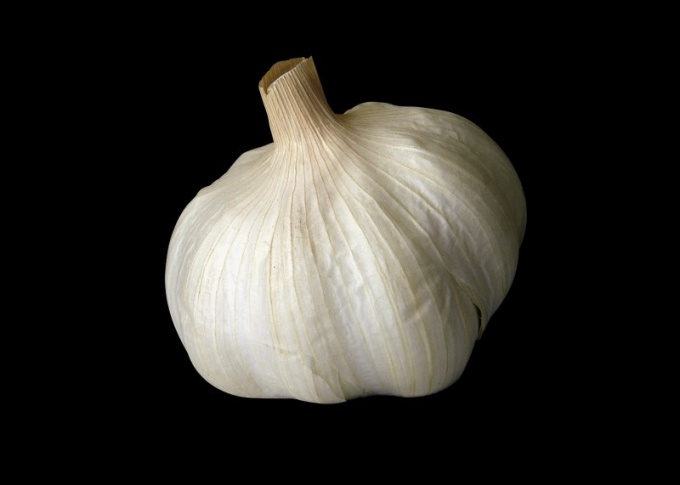 How to get the smell of garlic