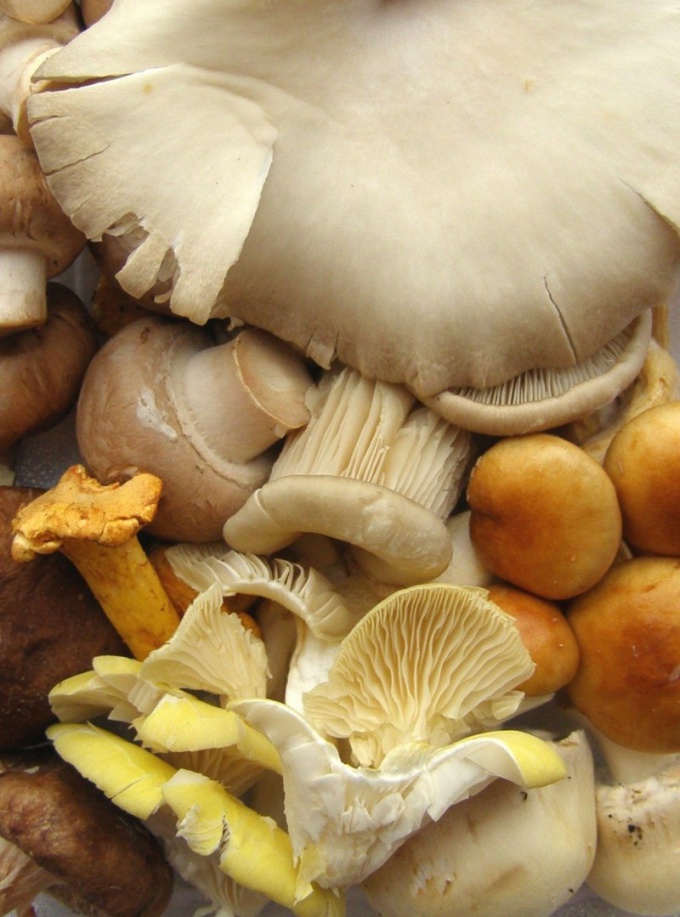 How to store salted mushrooms